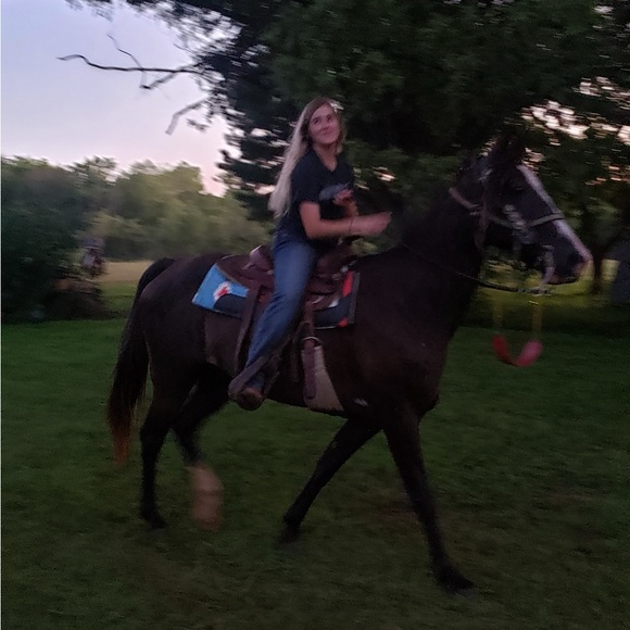 Meet your Posher, Trinity - Picture 4 of 4